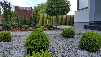 projektowanie Ogrodów Gdańsk - Trójmiasto - Pomorskie